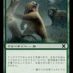 灰色熊 MTG