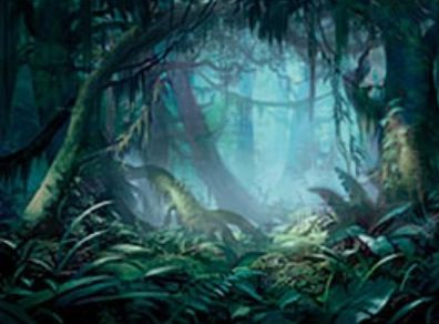 プレミアム神話レアの 霧深い雨林 Misty Rainforest が公開 森か島をサーチできるゼンディカー フェッチランド Mtg Fan マジック ザ ギャザリングの最新情報をまとめるブログサイト