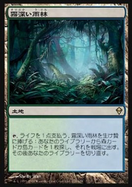 霧深い雨林（Misty Rainforest）