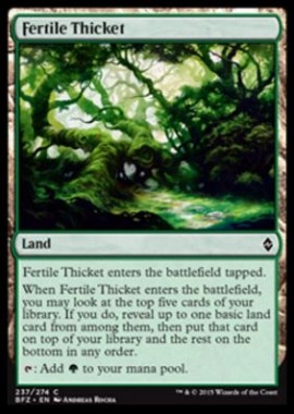 Fertile Thicket（戦乱のゼンディカー）