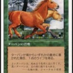 ターパン（MTG）