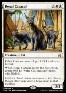 Regal Caracal（アモンケット）