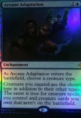 Arcane Adaptation（イクサラン）