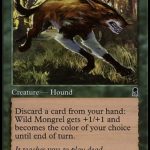 野生の雑種犬（MTG 犬カード）