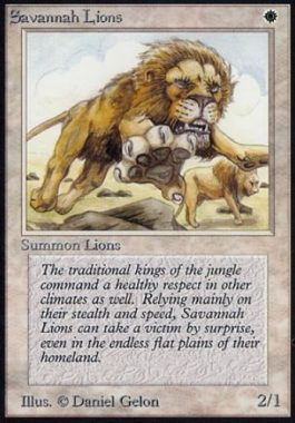 サバンナ・ライオン(Savannah Lions)アルファ