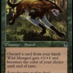 野生の雑種犬（MTG 2/2クリーチャー）