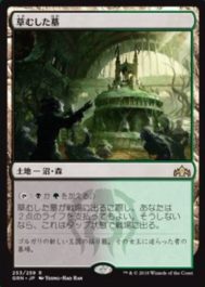 【ラヴニカのギルド】草むした墓(Overgrown Tomb)が新規アートで再録！ギルド「ゴルガリ」のショックランド！