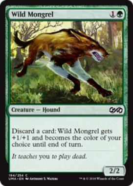 野生の雑種犬(Wild Mongrel)アルティメットマスターズ