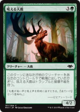 吼える大鹿(Bellowing Elk)