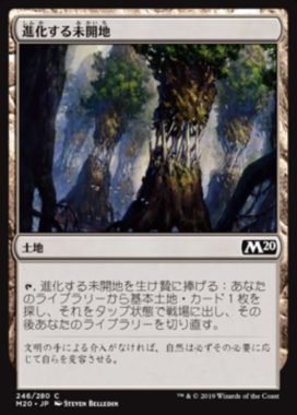 進化する未開地(Evolving Wilds)基本セット2020