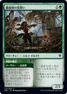 薔薇棘の見習い(Rosethorn Acolyte)エルドレインの王権