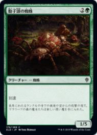 胞子頭の蜘蛛(Sporecap Spider)エルドレインの王権