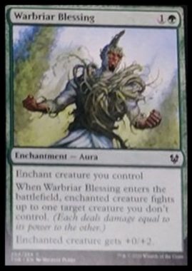 (Warbriar Blessing)：MTG「テーロス還魂記」非公式スポイラーより