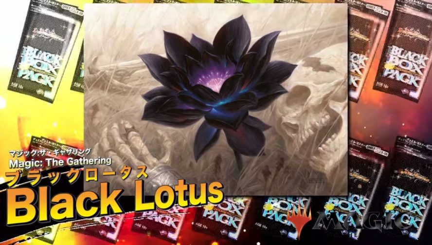 ブラック・ロータス（Black Lotus）がDM「謎のブラックボックスパック」に封入決定！