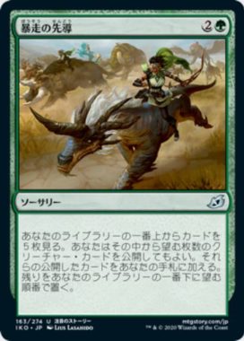 暴走の先導