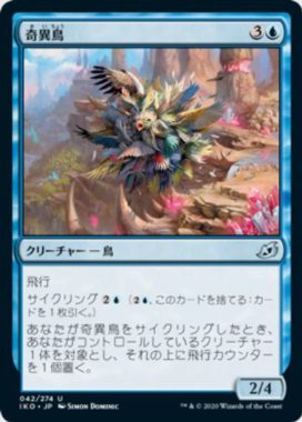 奇異鳥(Avian Oddity)