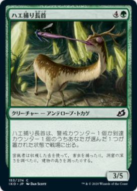 ハエ捕り長首(Flycatcher Giraffid)