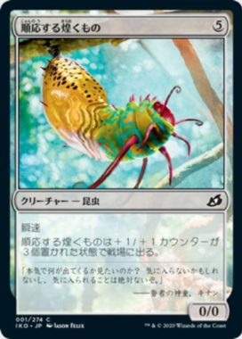 順応する煌くもの(Adaptive Shimmerer)
