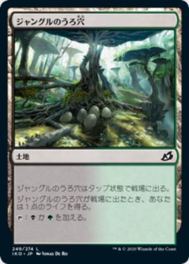 ジャングルのうろ穴(Jungle Hollow)