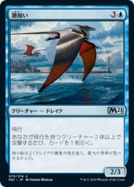 潮掬い(Tide Skimmer)基本セット2021