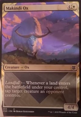Makindi Ox