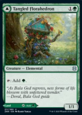  Tangled Florahedron