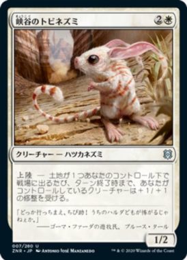 峡谷のトビネズミ(Canyon Jerboa)ゼンディカーの夜明け