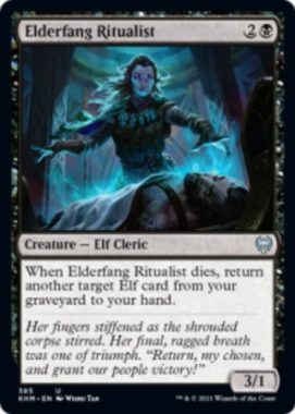 Elderfang Ritualist（カルドハイム）
