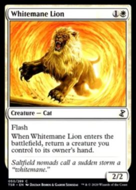白たてがみのライオン(Whitemane Lion)