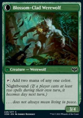 Blossom-Clad Werewolf
