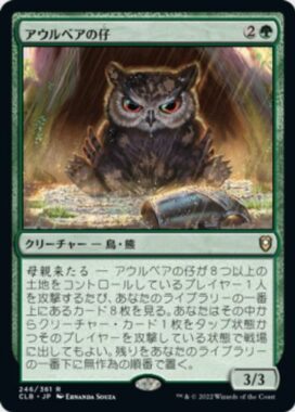 アウルベアの仔(Owlbear Cub)