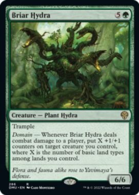 Briar Hydra（団結のドミナリア）