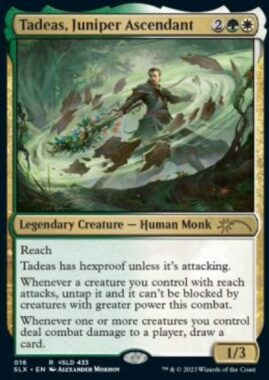 Tadeas, Juniper Ascendant(Dhalsim, Pliable Pacifist)