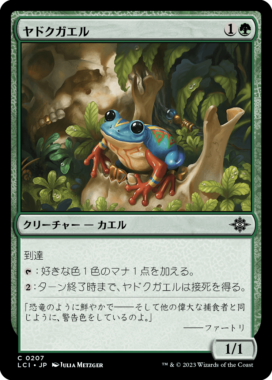 ヤドクガエル(Poison Dart Frog)